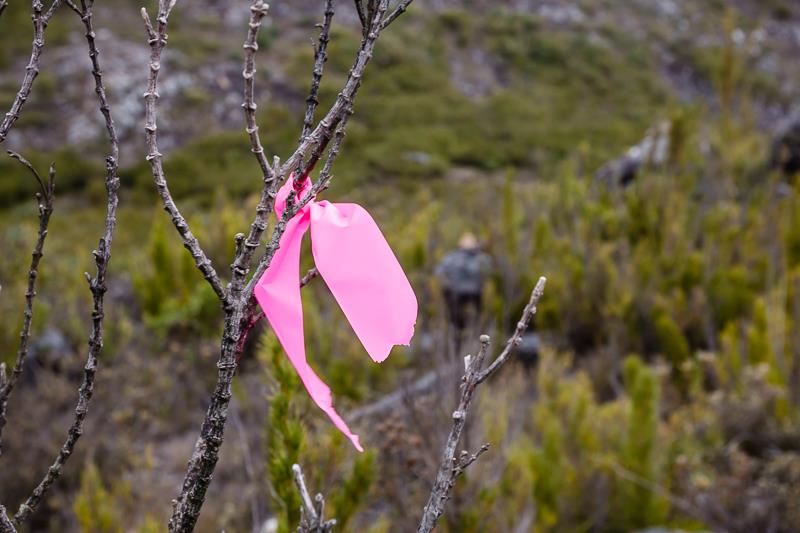 Caparaó, chegando ao Pico da Bandeira | Rio Caminhadas.com.br