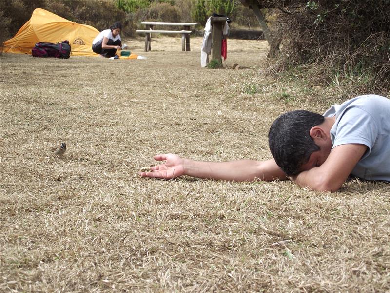 Caparaó, chegando ao Pico da Bandeira | Rio Caminhadas.com.br